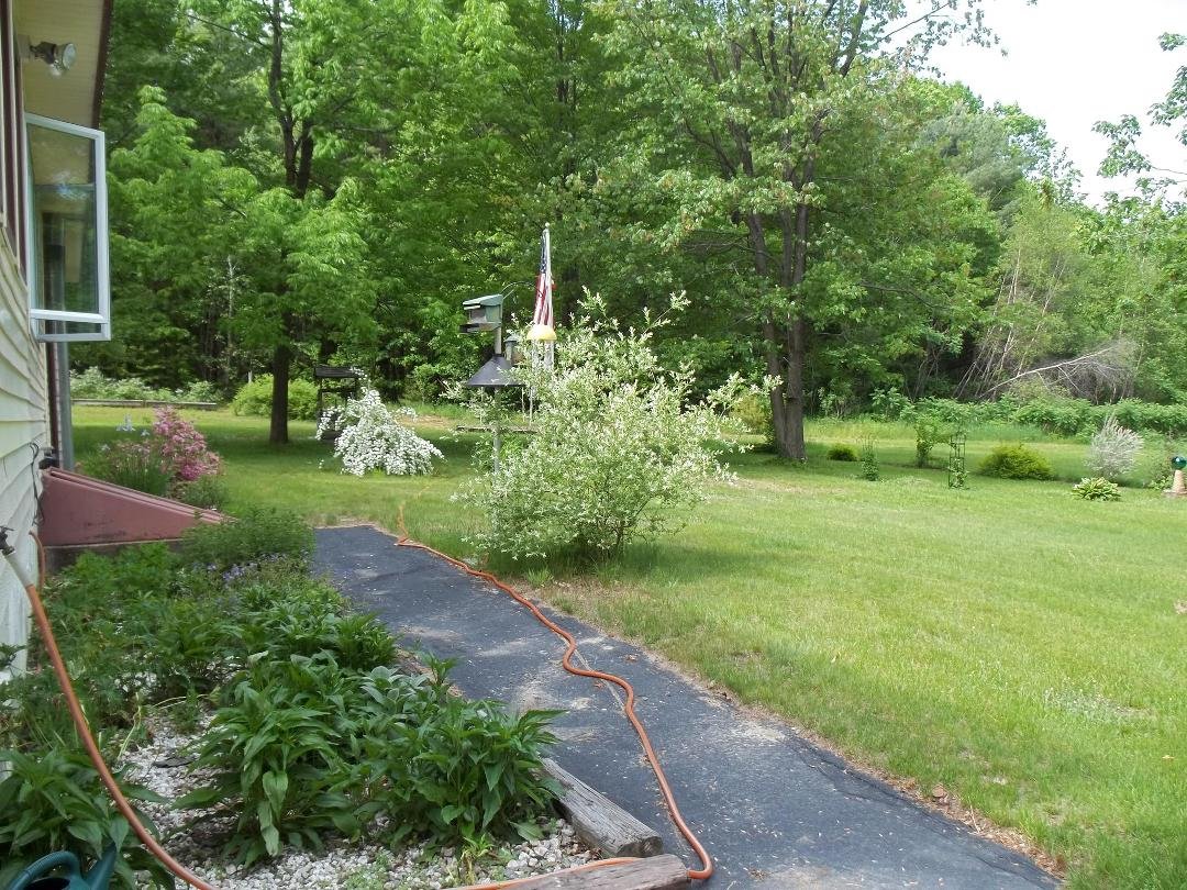 Backyard.
