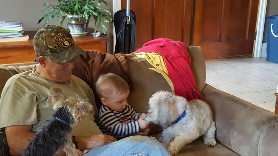Grandpa,Quinn,and Chewy the nanny playing ball. That dog is so gentle with Quinn,pulling ears,beating on him like a drum and all.