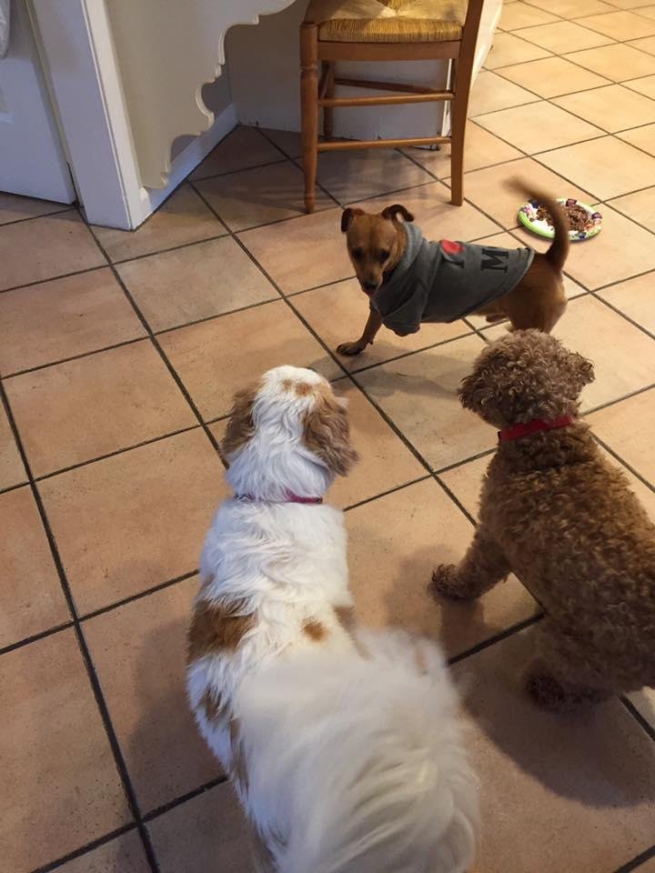 Play date time Christina Baze Stephanie Howard John Kourabas James Baze Jr.