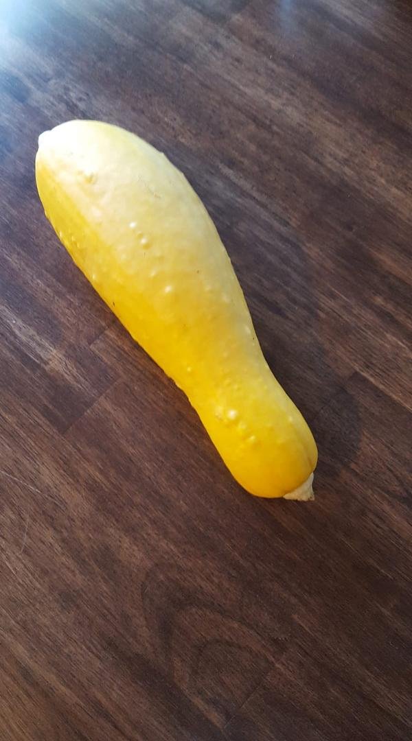First crop from garden. Bumper crop coming.