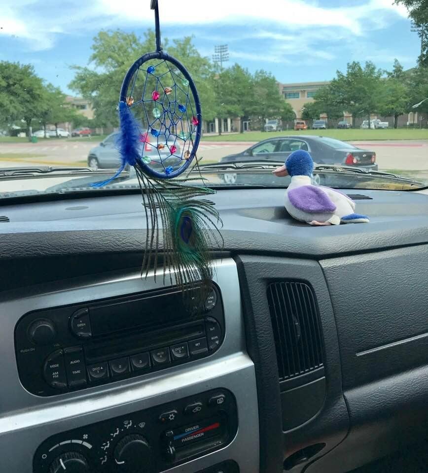 Jake ,The Beanie Baby Duck , looking for a highway ! One heading west is preferable !!
