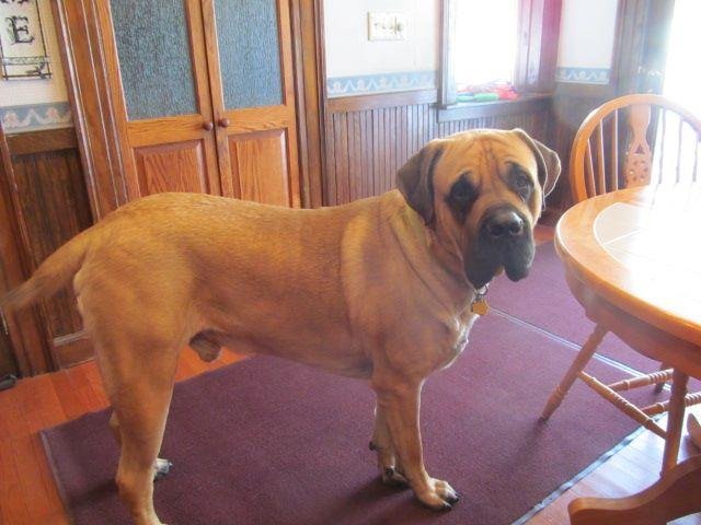 Simon almost 1 1/2 years old.