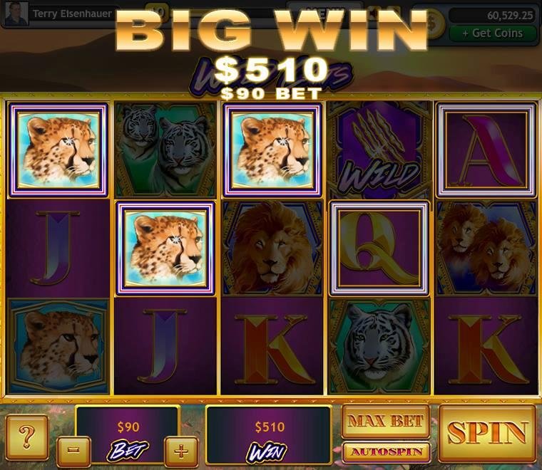 Terry Eisenhauer's album, Lucky Slots Photos