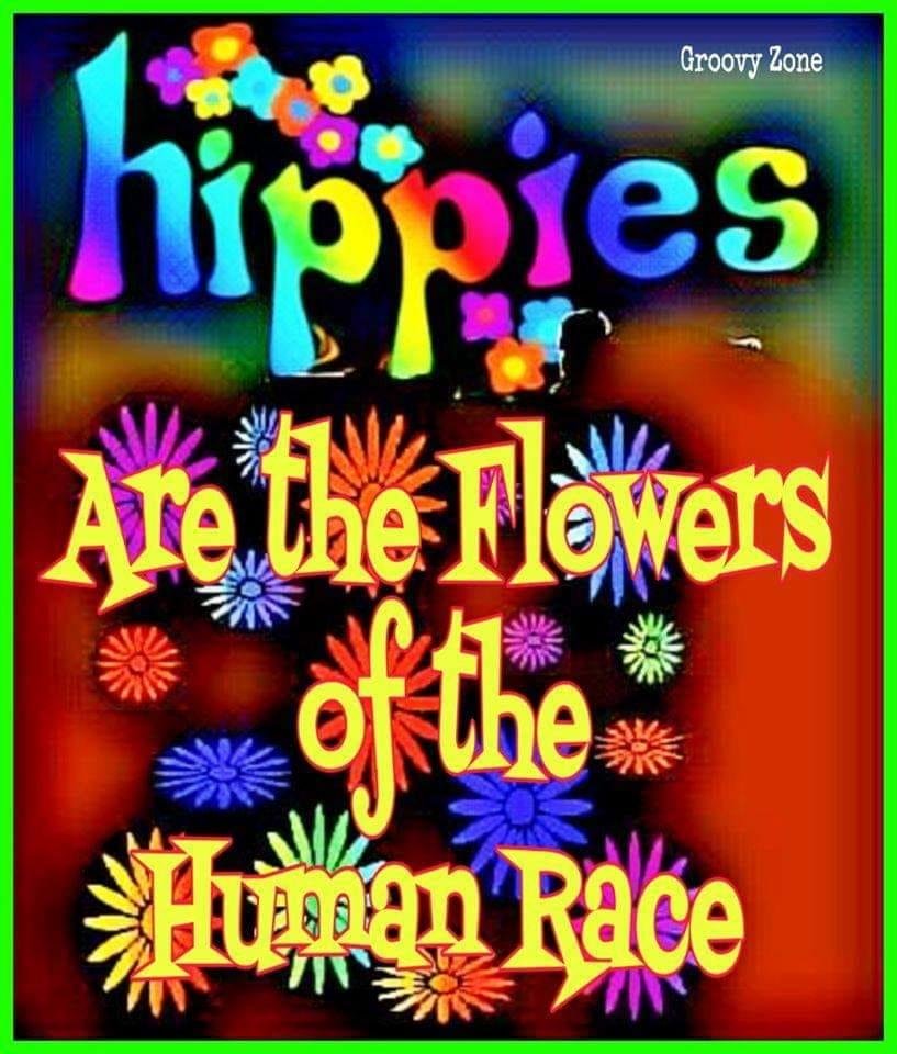Carolyn Lean's album, Timeline Photos