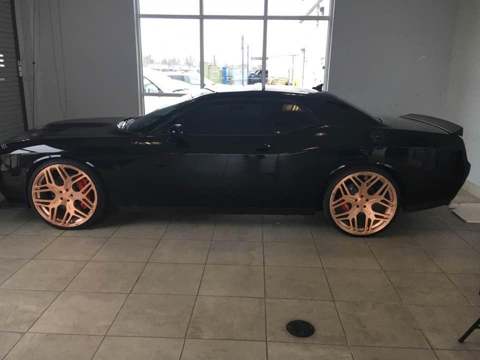 Hell cat