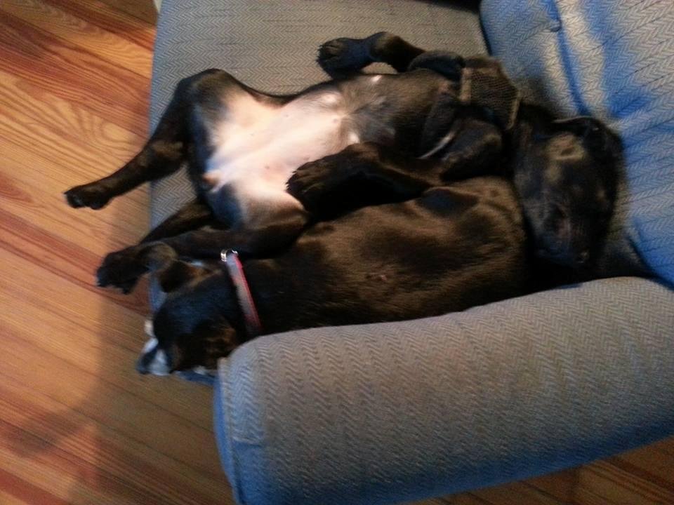 The old and the young girls sleeping in my chair.