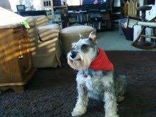 Here is Sophie ... my new girlfriend