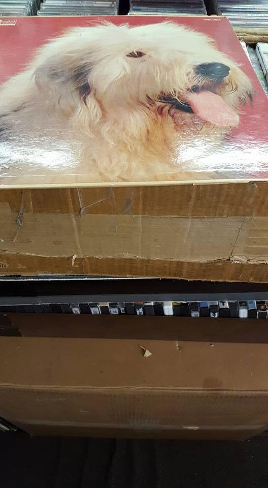 Shaggy Dog soundtrack LP available at In Your Ear