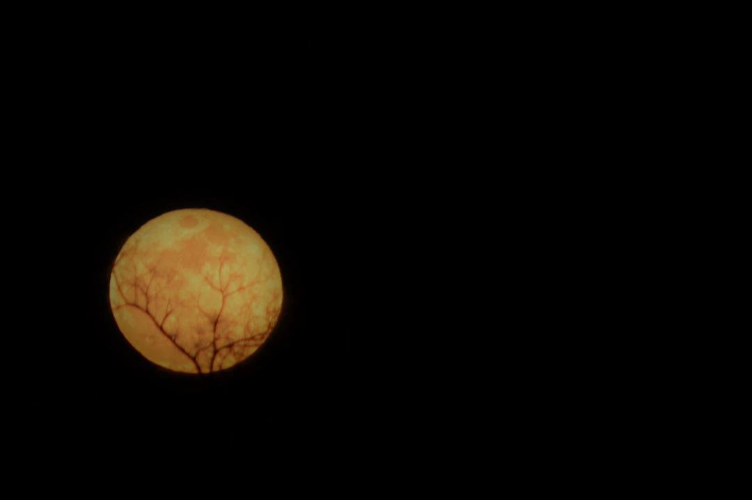 Watched the lunar eclipse this morning (no pictures) and the most beautiful blue moon rise tonight. The picture does not do it justice. It was huge, colorful and absolutely awesome to watch. Thank you God for giving us cle