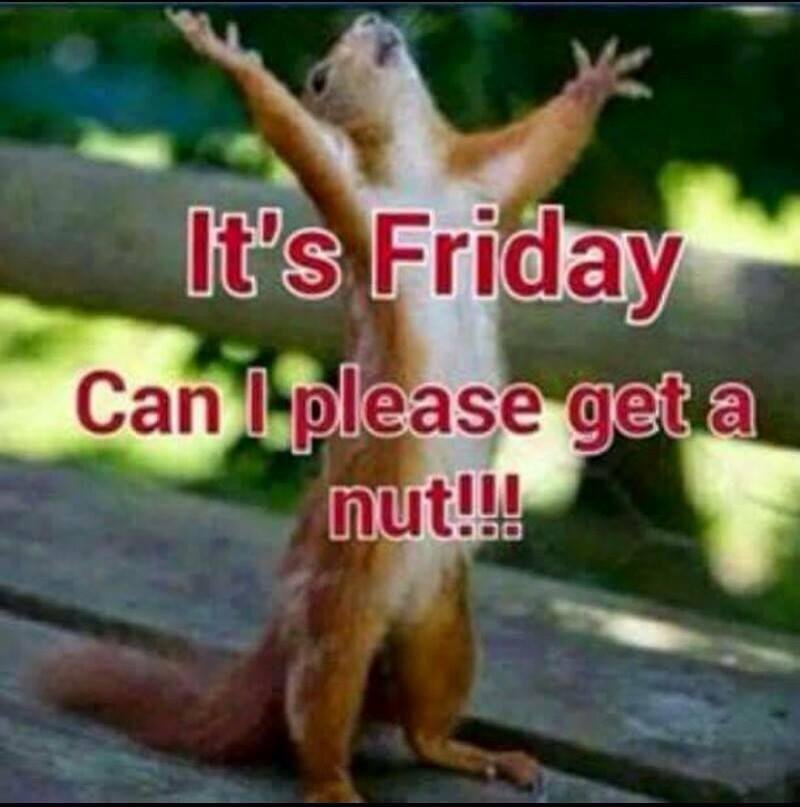 Oh Happy Day !!!