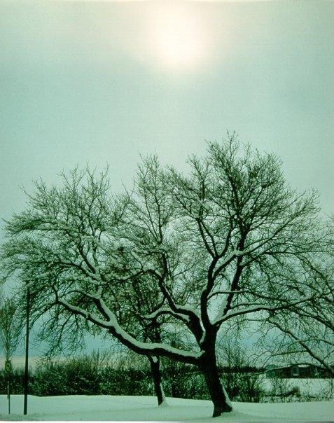 Ron Wirch's album, Some of my most meaningful pictures