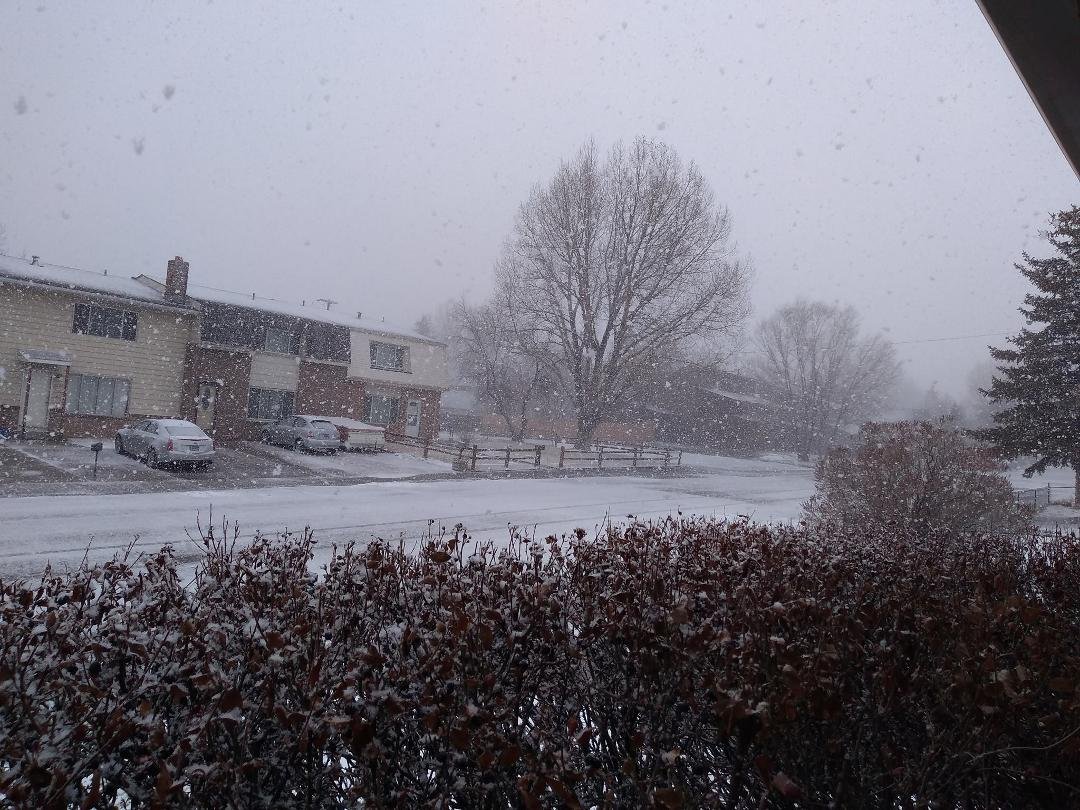 Friday, March 8. This is how Laramie, WY starts Spring Break.
I'm home.