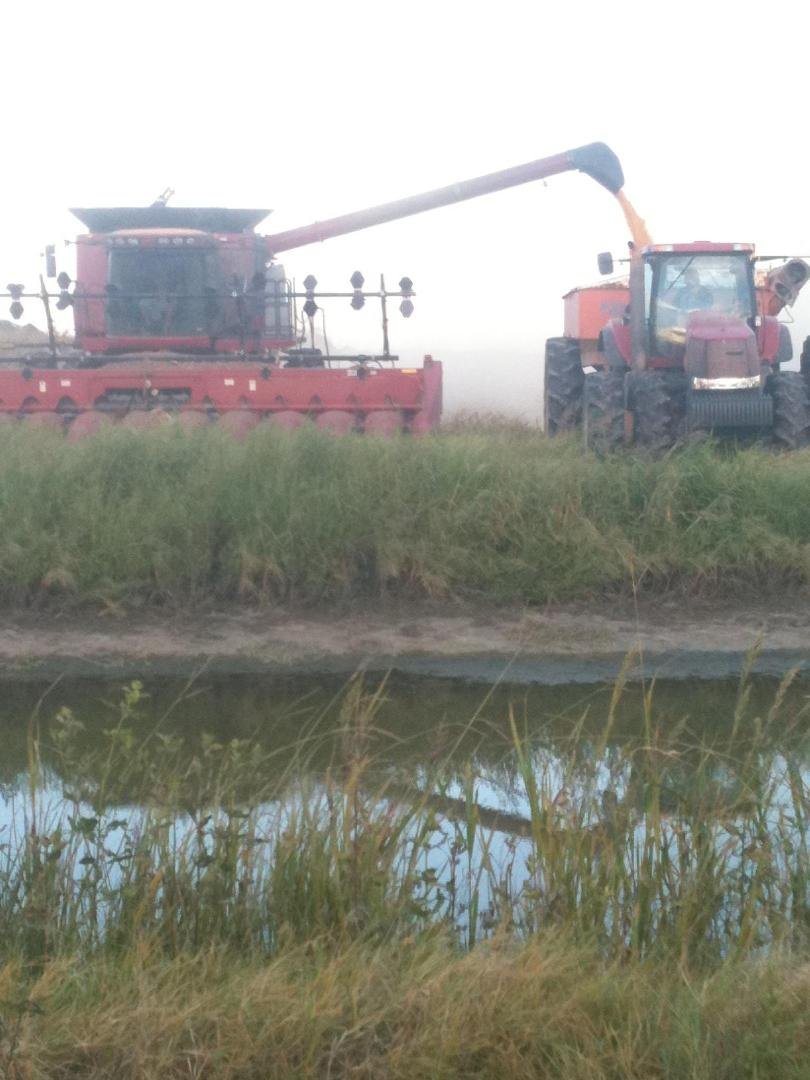 Jeff working grain cart diver butt off. Lmbo.