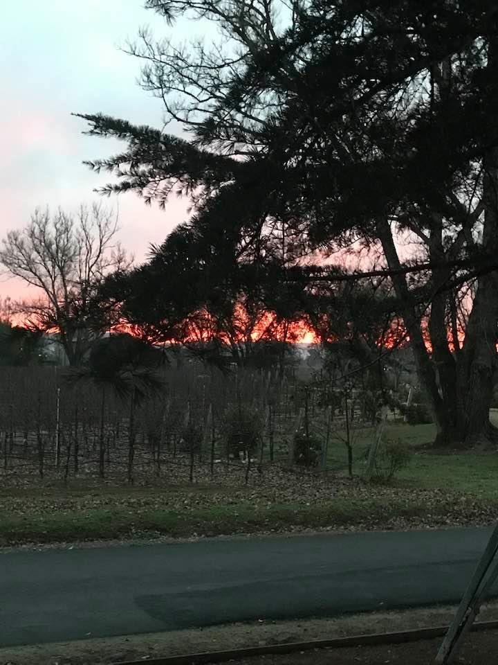 Good Morning Fulton, ca