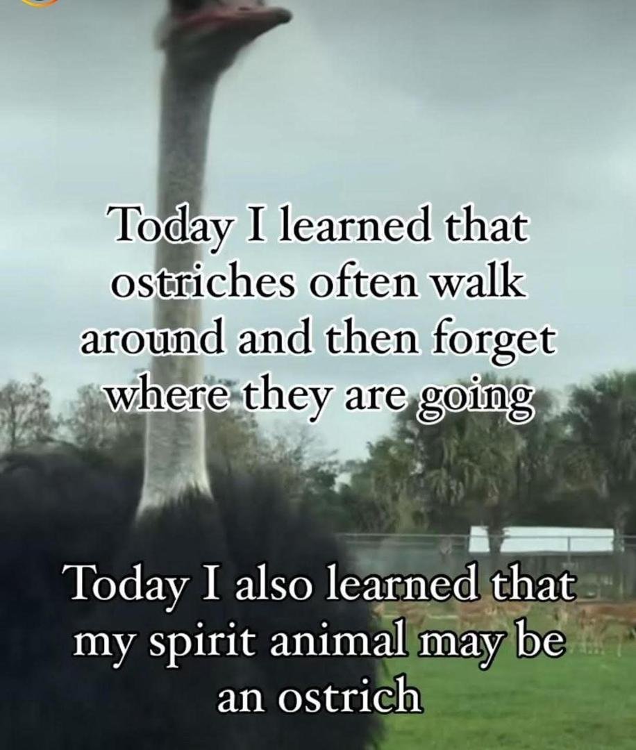 Norman Nelson's album, Timeline photos