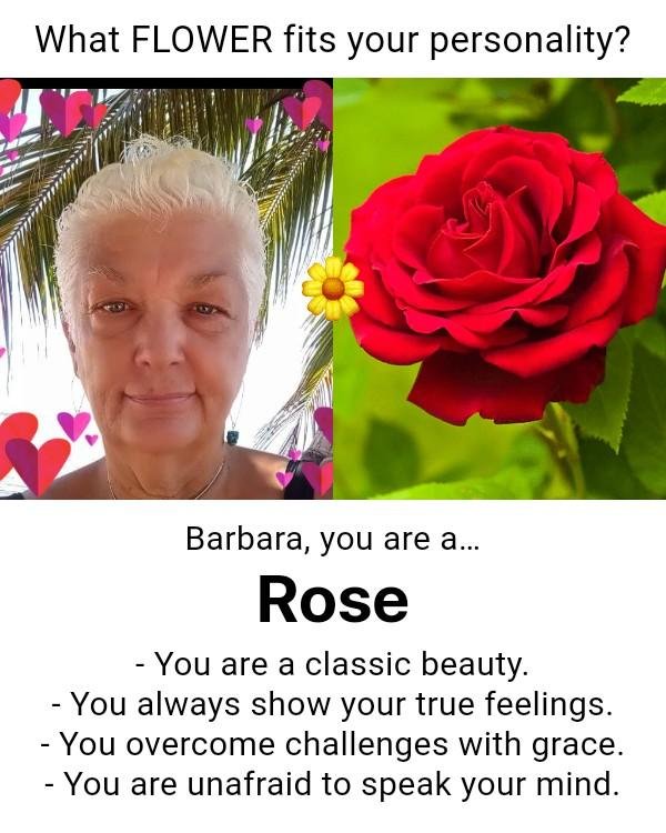 Barbara Bradford's album, Timeline photos