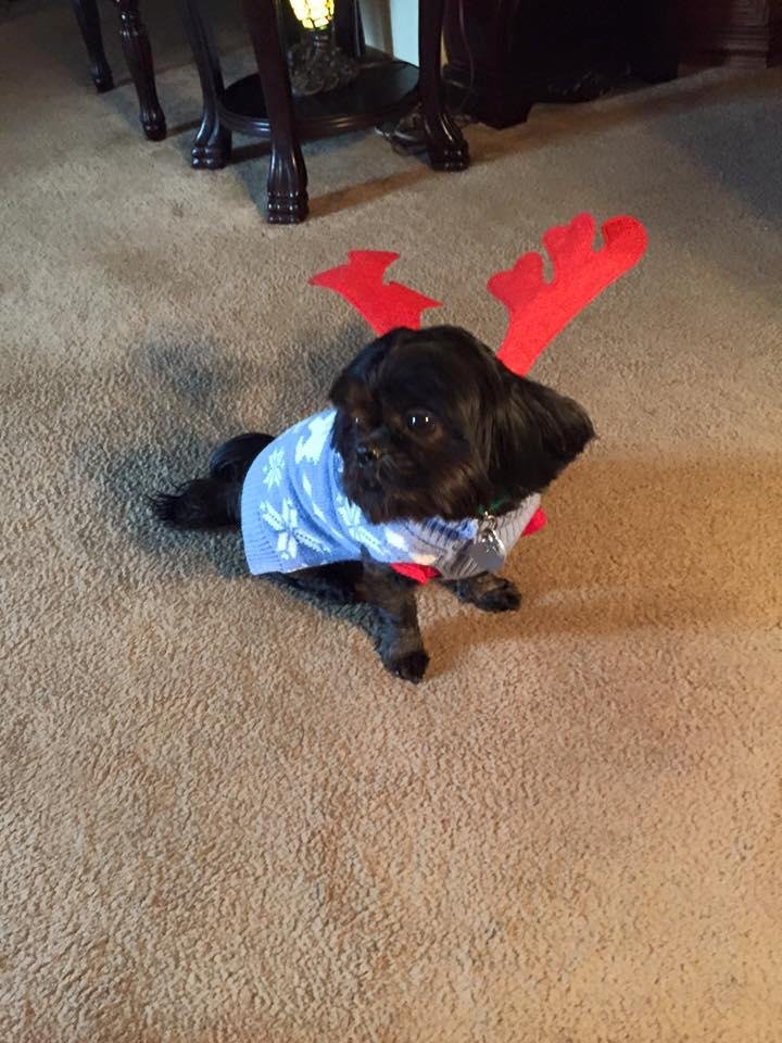 Christmas Eve w my favorite elf!!!