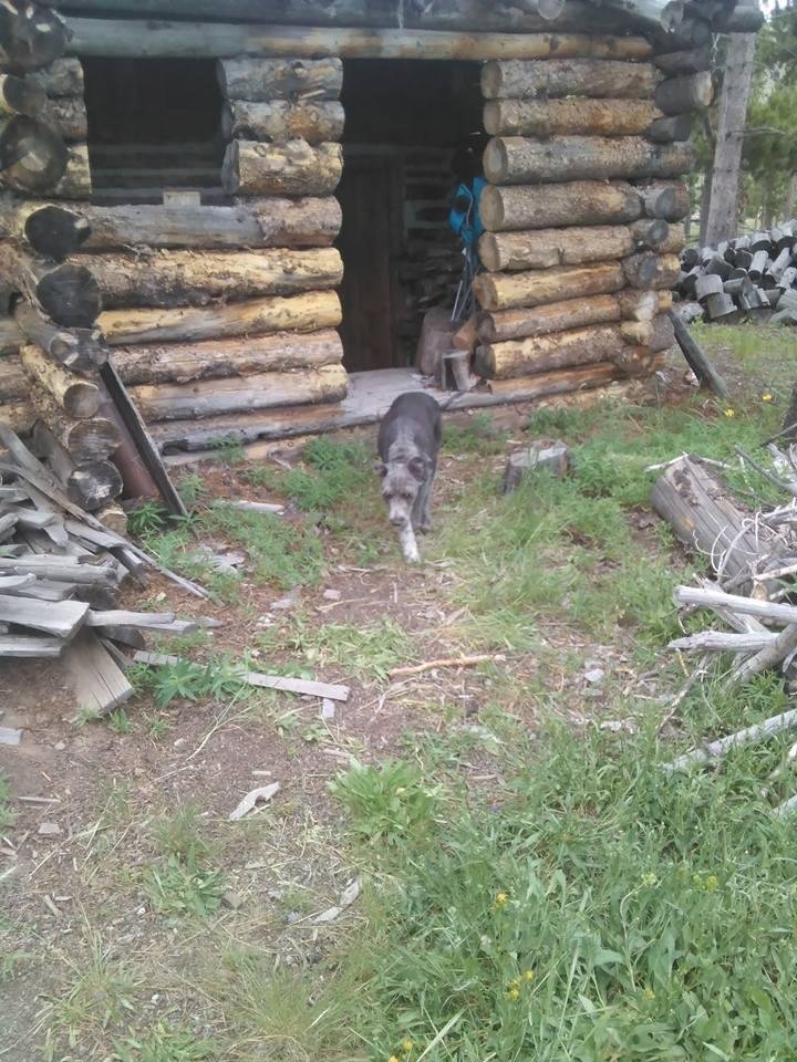 Dan Krueger's album, Mobile Uploads