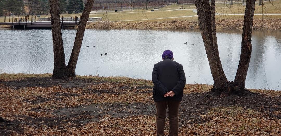 With Deon Gieneart at Plymouth Hilde Park pond watching 3 pair of Wood Ducks eating &  searching for a nesting location on a nice early Spring Sunday afternoon.