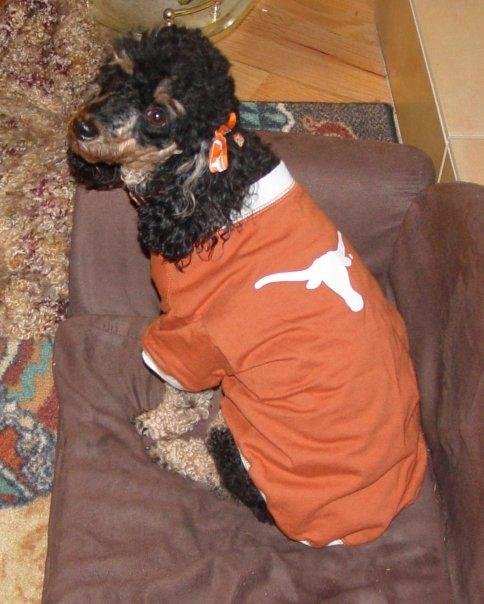 Christy Gibbon's album, Hook 'em!!!