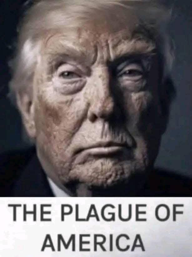 I think the whole country as well as the free world has had enough of this scumbag felon and it is time to remove him and his lover Musk.