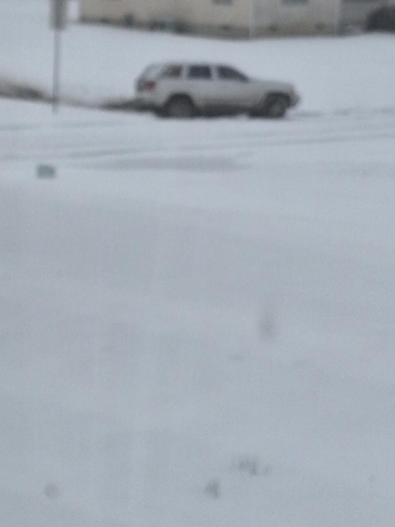 We had someone go through our parking lot, but they must not have realized there is a ditch on the west side of the property instead of an exit. LOL. They are not around for assistance.