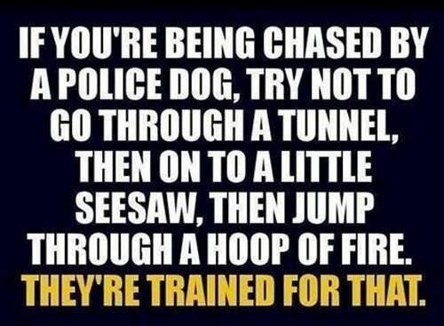 Edward (Ned) Rice's album, Timeline Photos