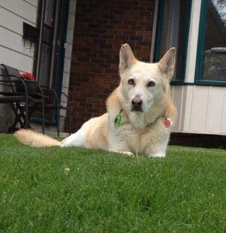 Gone 3 years now...seems like yesterday....