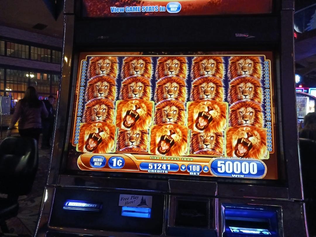 Winner, Winner chicken dinner!
FRIDAY- TWIN PINES