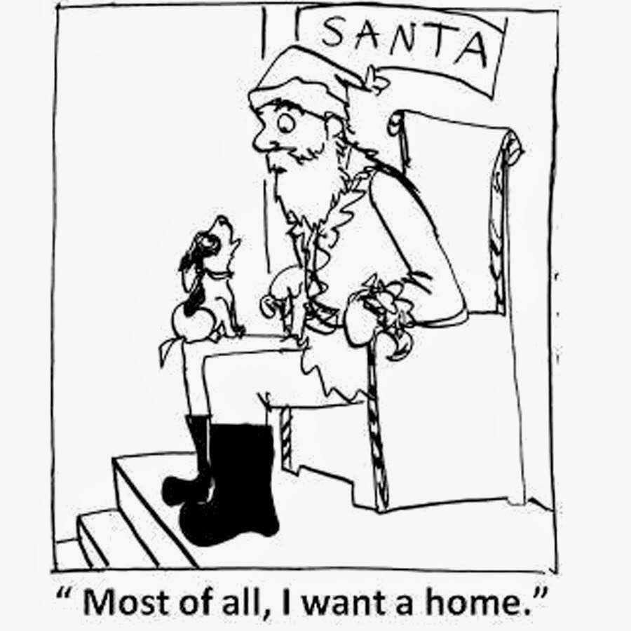 Please rescue and adopt. ❤️🐾❤️🐾