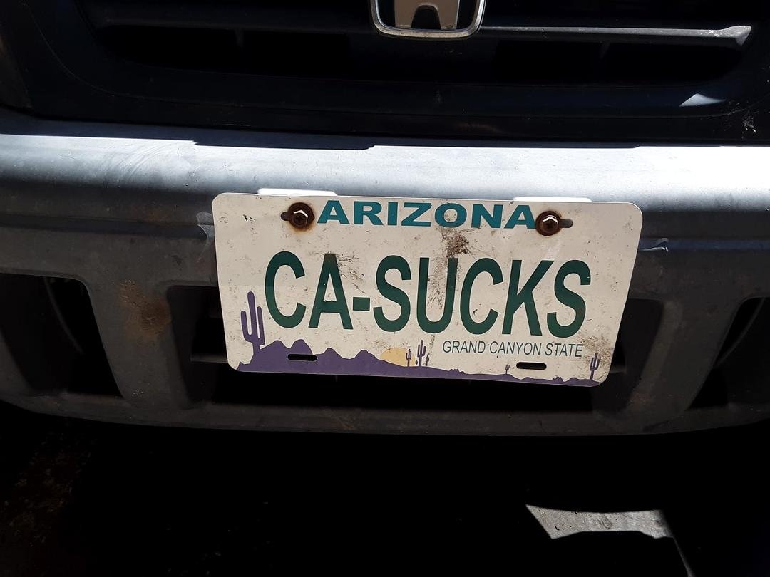 Saw this today on the front of a car, GOTA GET ONE!