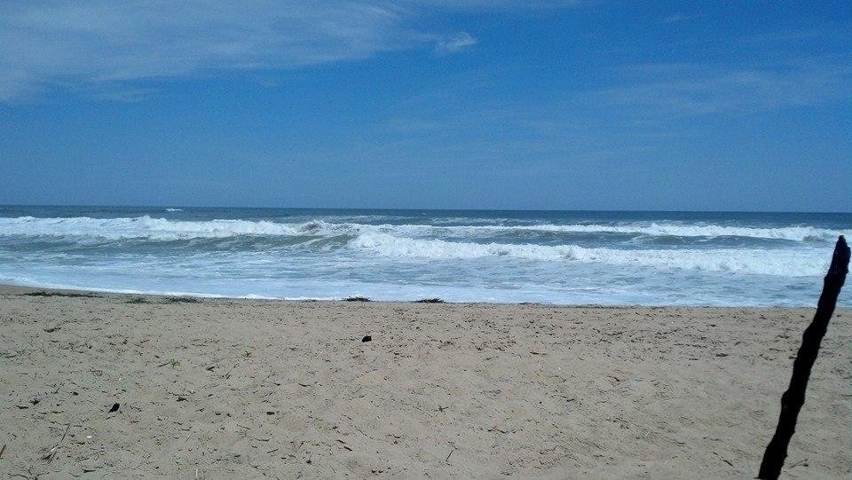 My view for the week