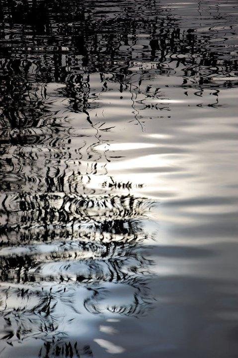 Afternoon reflections on the lake 1