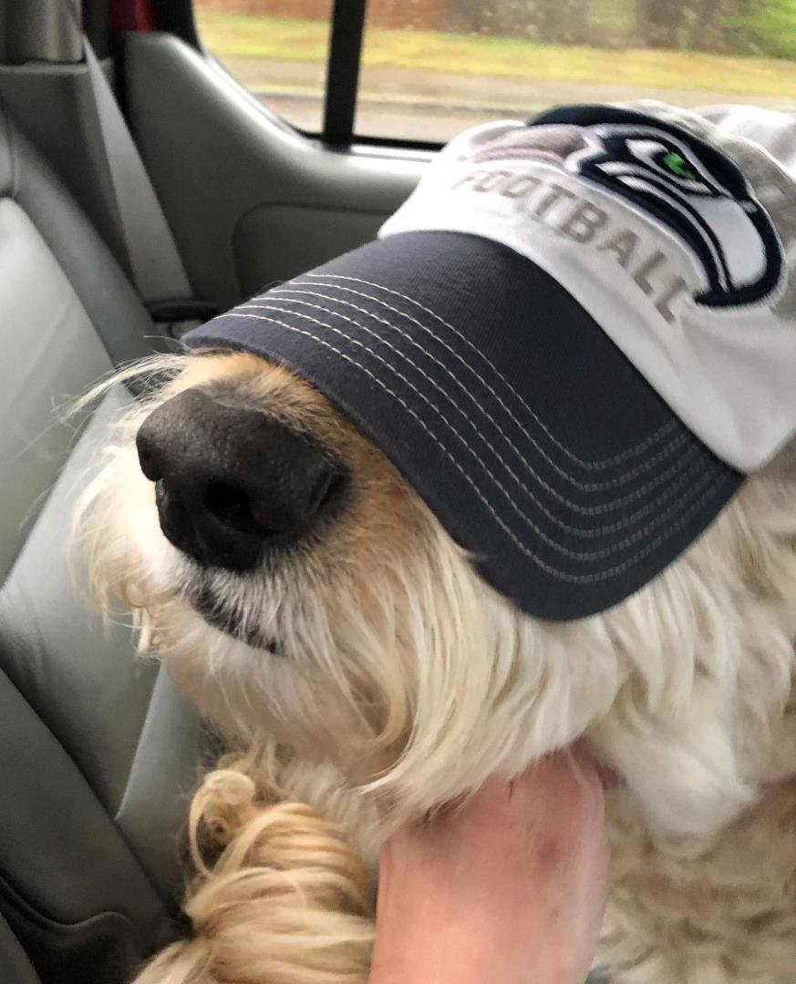 Somebody's trying to go incognito--doesn't appear to be working....