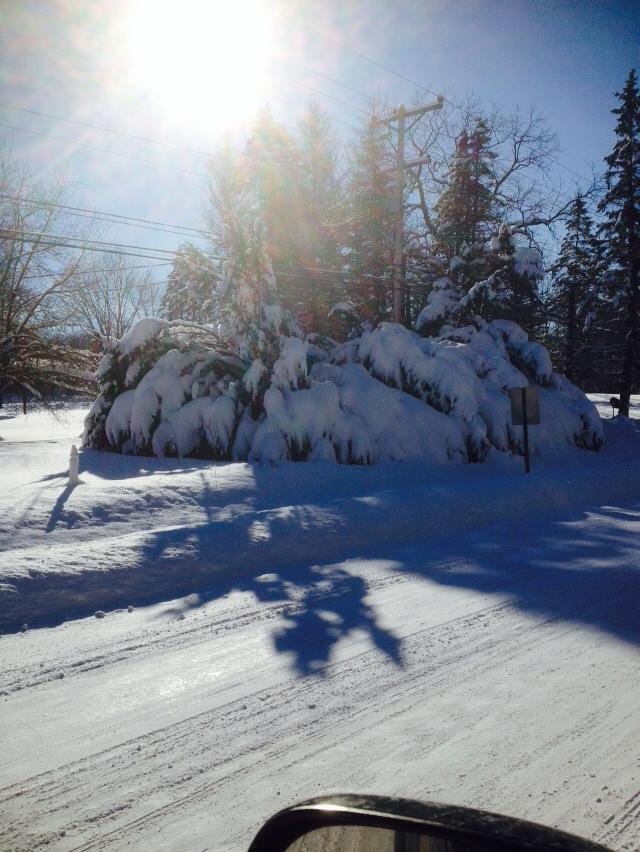 Fred Langill's album, Mobile Uploads