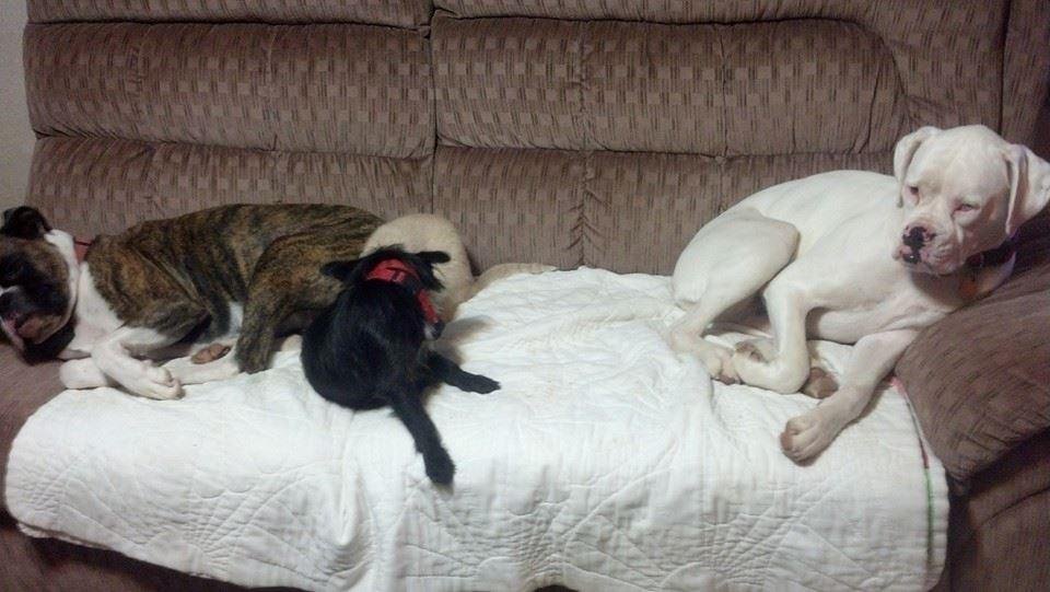 They hate each other. NOT