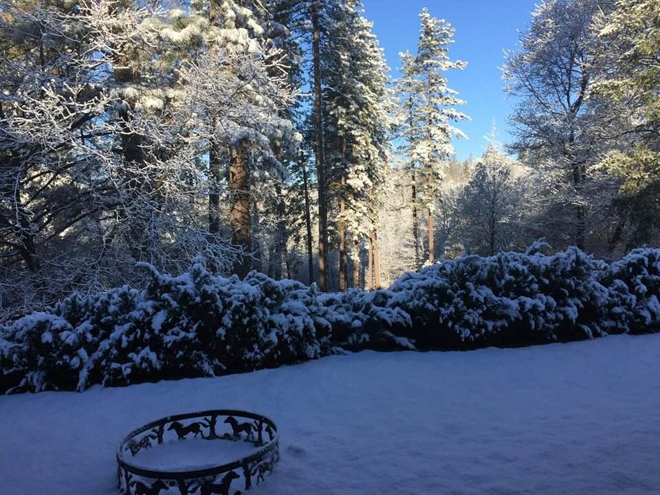 Cindy Anderson's album, Timeline Photos