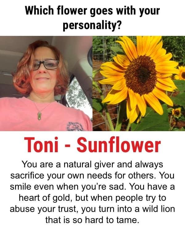 Tonya Harr's album, Fotos de la biografía