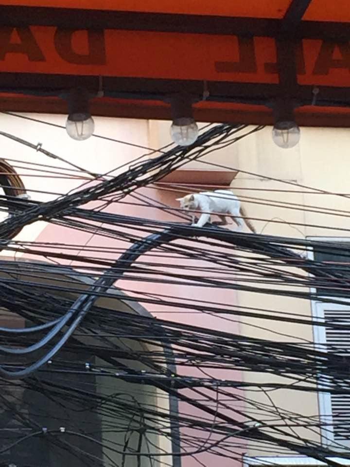 Fearless in Bangkok