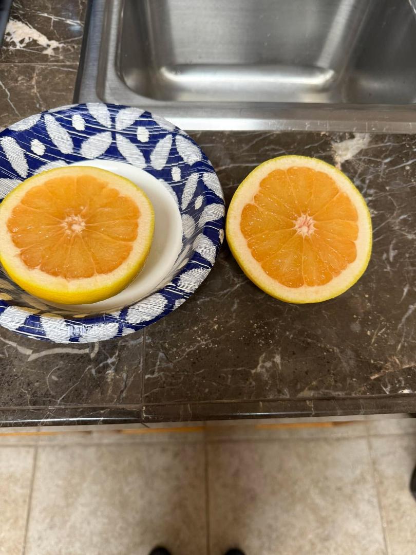 I had to clean up the dog poop for the gardener and saw this grapefruit as I walked by my tree. It was so perfect I decided I would have it for breakfast. Nothing better than freshly picked fruit in the morning.