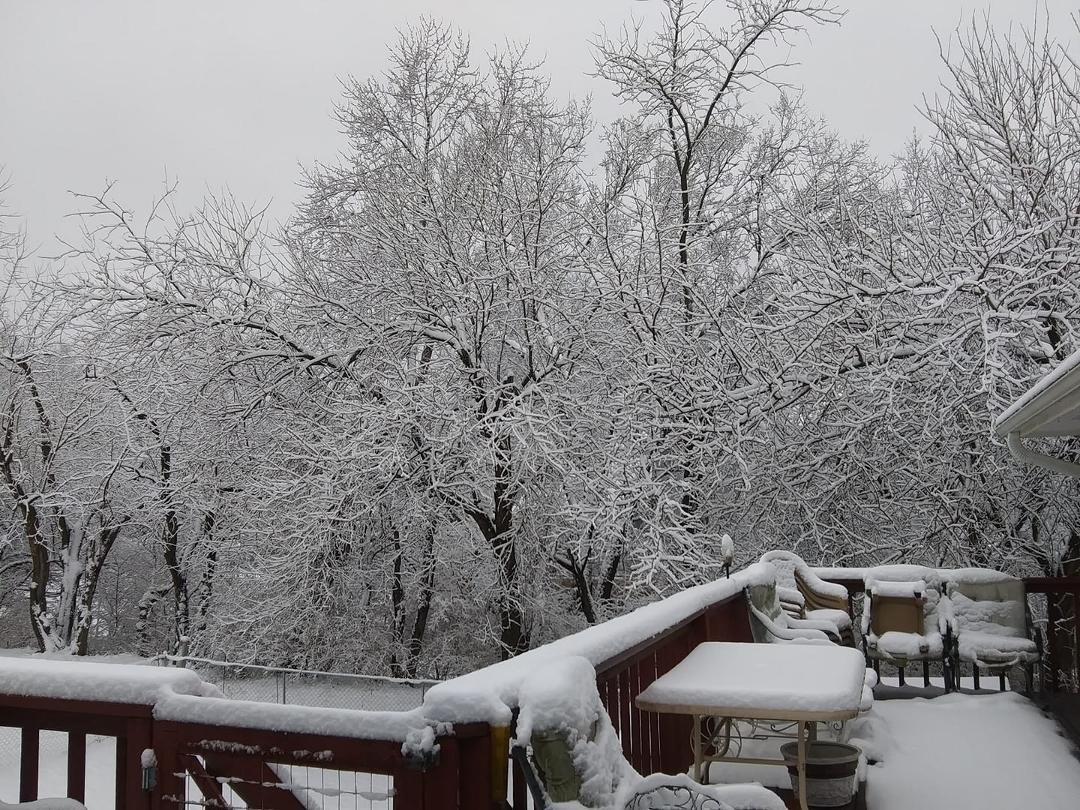 4 inches of snow last night. This is the nice and wet type so it was heavy to shovel. Pretty though.