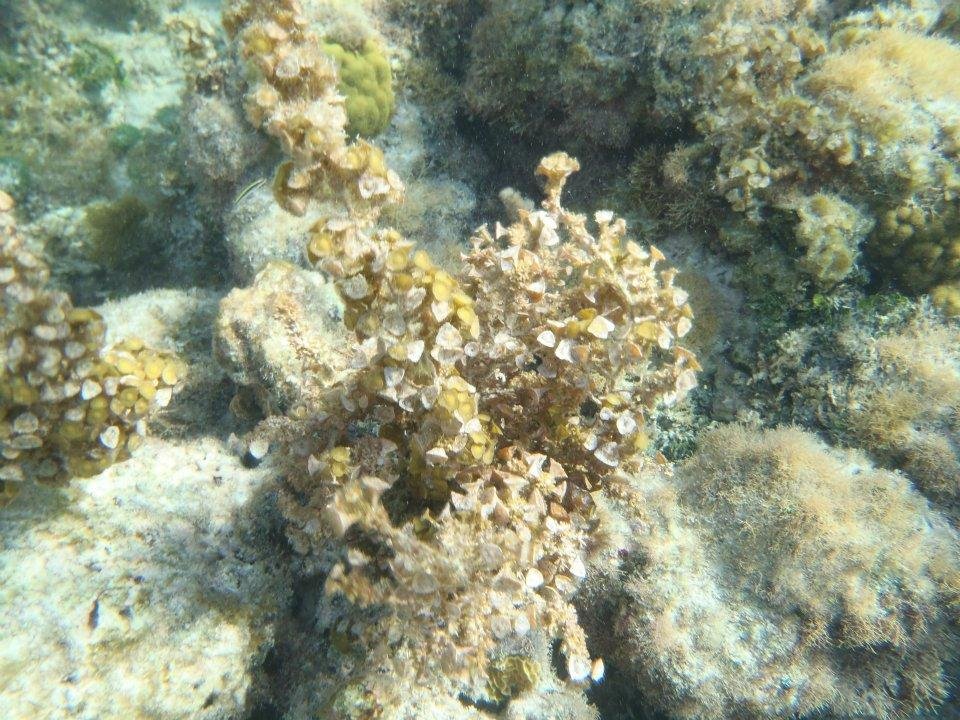 John Derbin's album, Cayman 2012