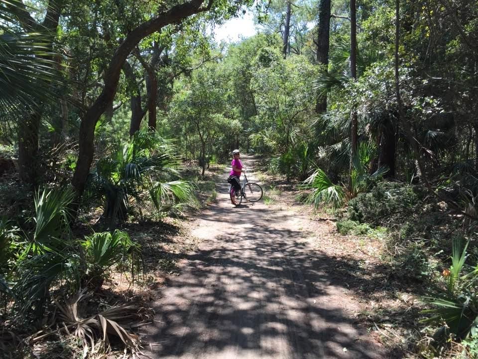 Great day biking in the maritime forest on Edisto