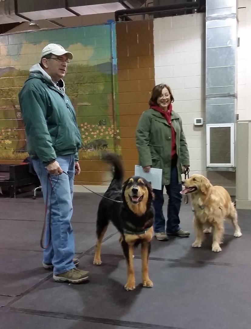 Bella and Casey Canine Good Citizens Nov 2014