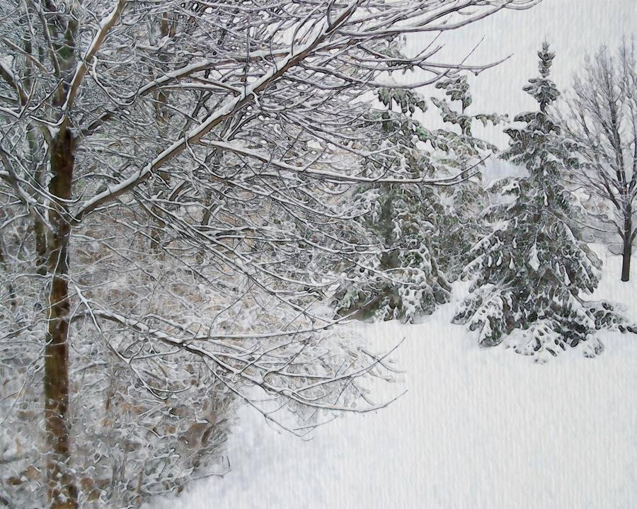 Happy Holidays, everyone. This year's image was a shot of my backyard, but run through a new process of mine that gives the appearance of watercolor paintings.