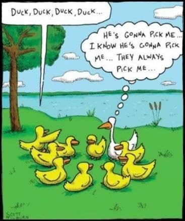 Marc Cohen's album, Timeline photos