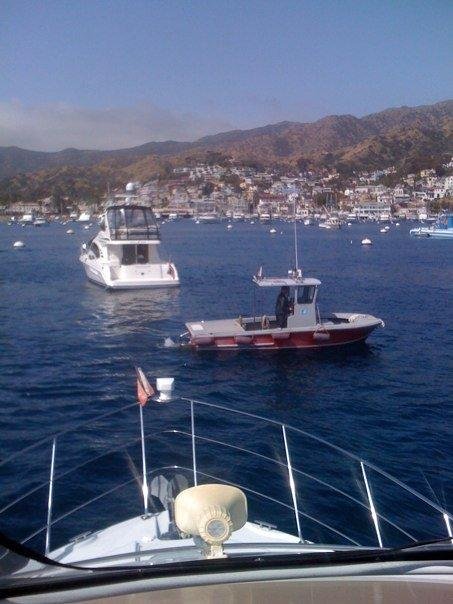 Entering Avalon Harbor with Harbor Master preparing to check-in Body Heat and collect mooring fees for weekend stay. The boat ahead is "Laura Belle" -- Randy Lynch's 42 ft Sea Ray -- as we both enter Avalon Harbor after a