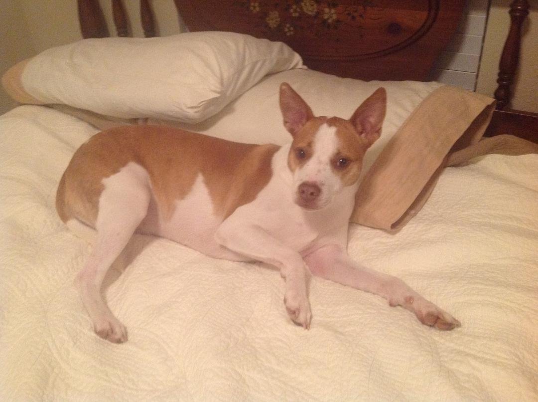 It's bedtime!