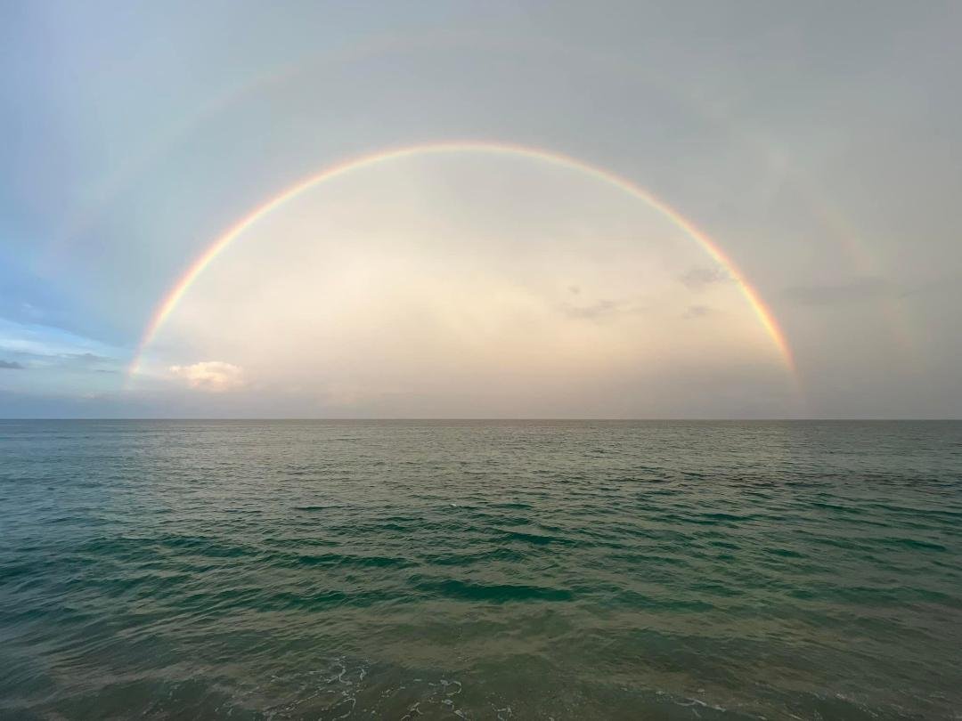 Nice surprise after the rain today