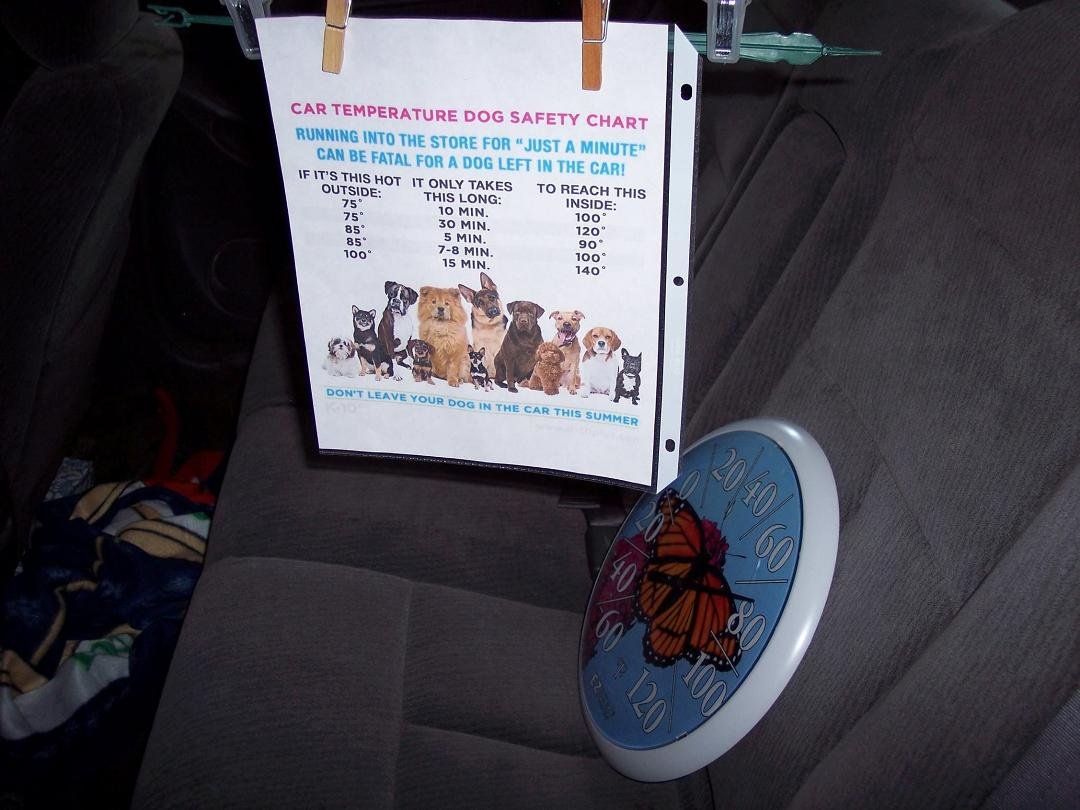 I Pray That This Helps! It hangs behind me so it isn't a blind spot.